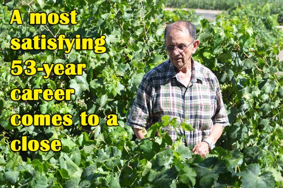 Longtime educator Anthony Nunes hopes to tend his grapes in his retirement.